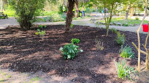 Sensory Garden April 2025