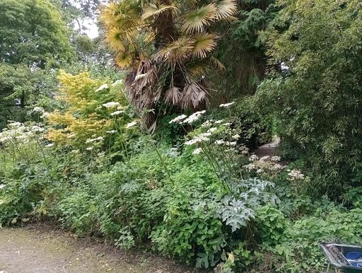 Sensory Garden autumn 2024