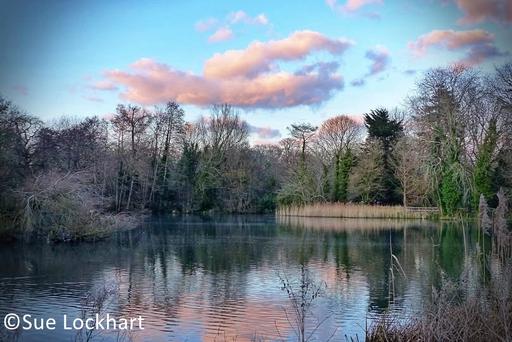 View of Decoy Pond