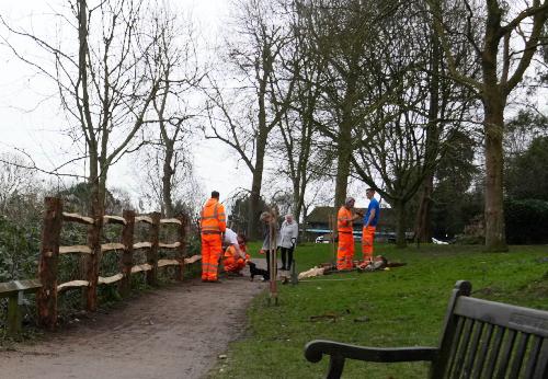 New fencing