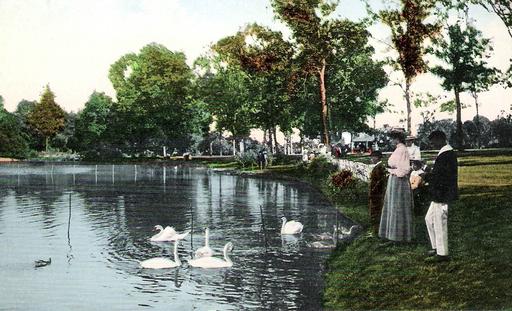 Image swans and people