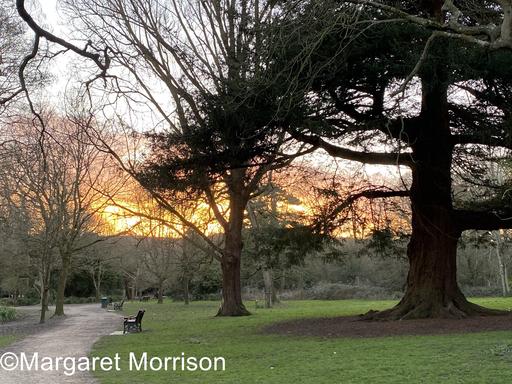 Sensory Garden Image