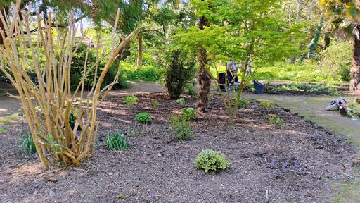 Sensory Garden April 2025