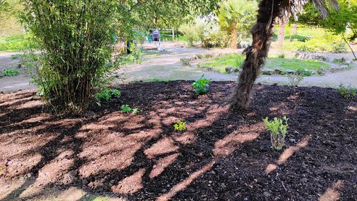 Sensory Garden April 2025
