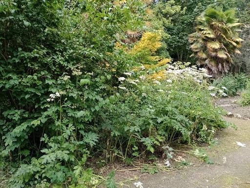 Sensory Garden Autumn 2024